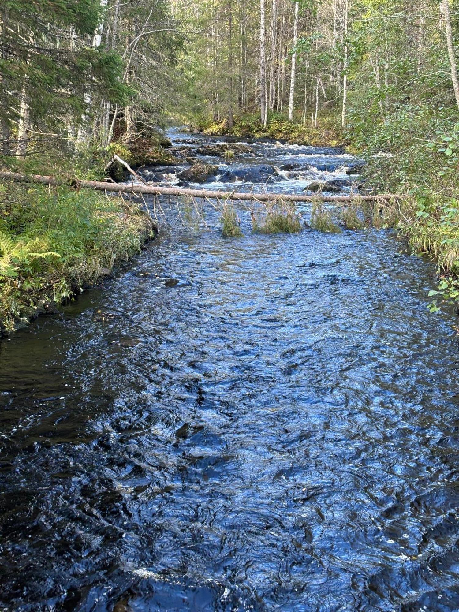 Loppiaiskaari 5, Paljakka Puolanka Экстерьер фото